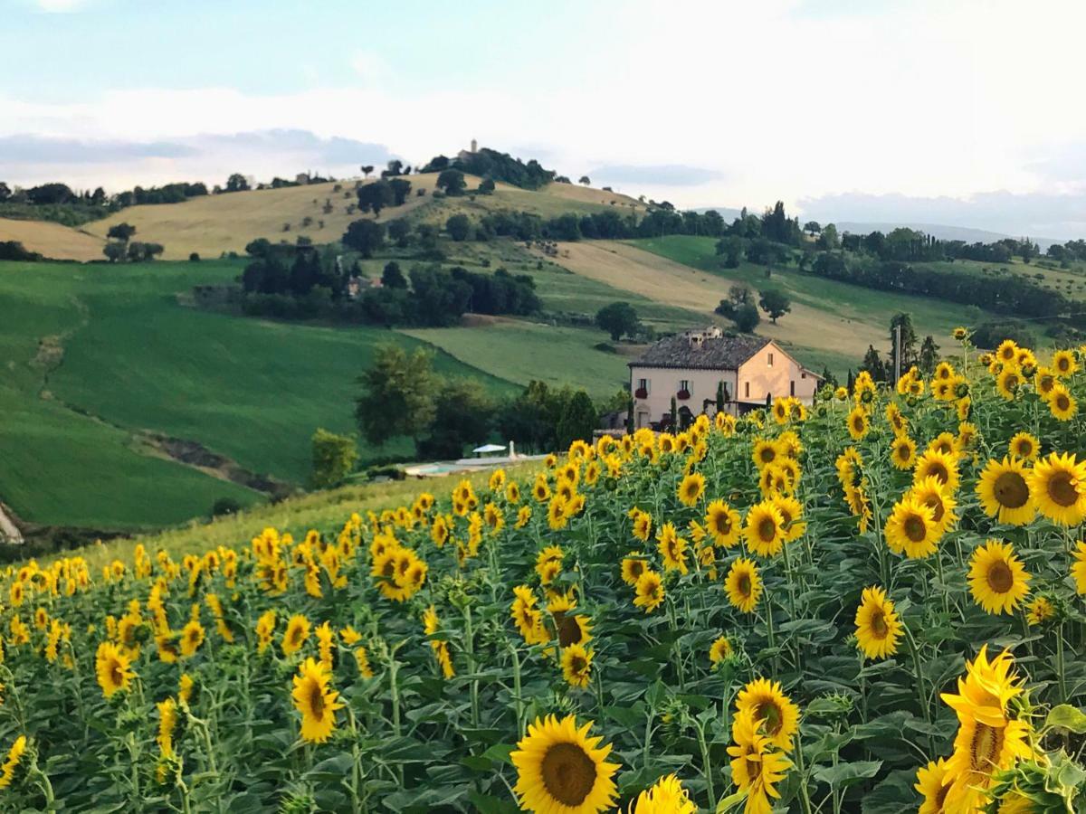 Casale Delle Rondini Bed & Breakfast โตเล็นติโน ภายนอก รูปภาพ